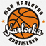 https://img.pavean.com/img/basketball/team/0c2f73d2ab7041cf90029a20deff7f17.gif